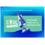 logo Cool & The Band